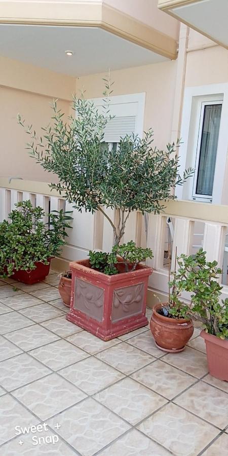 קאטו דרטסו Malou Apartments מראה חיצוני תמונה