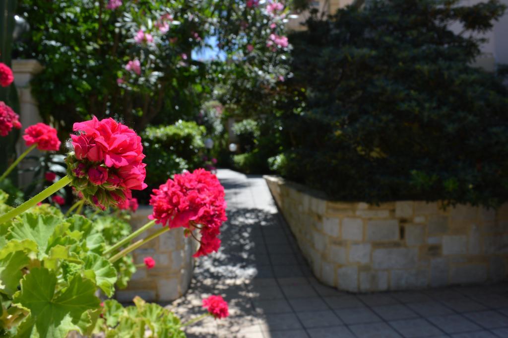 קאטו דרטסו Malou Apartments מראה חיצוני תמונה