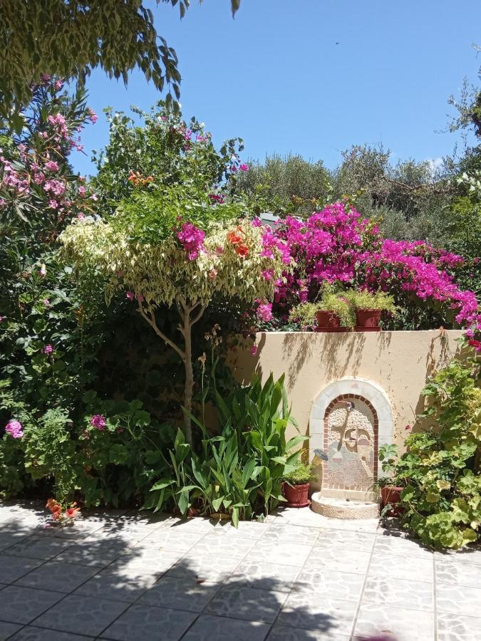 קאטו דרטסו Malou Apartments מראה חיצוני תמונה